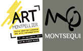 Galería Montsequi en Art Montpellier 2018